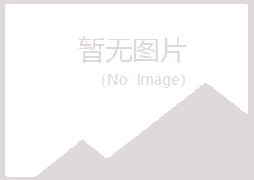 银川晓夏能源有限公司